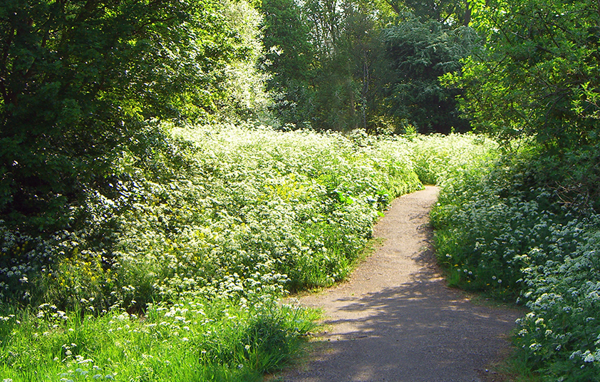 Wijktuin Ommoord